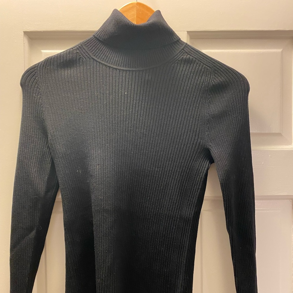 Everlane Turtleneck Merino Sweater